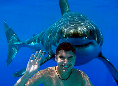 Illustration for article titled SHARKANDRY